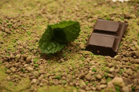 Choc Mint Crumble — Chocolate Decorations — RELIANZ