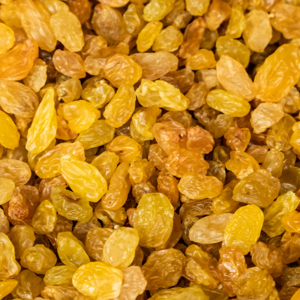 Sultanas Standard Food Service — Sultanas — RELIANZ