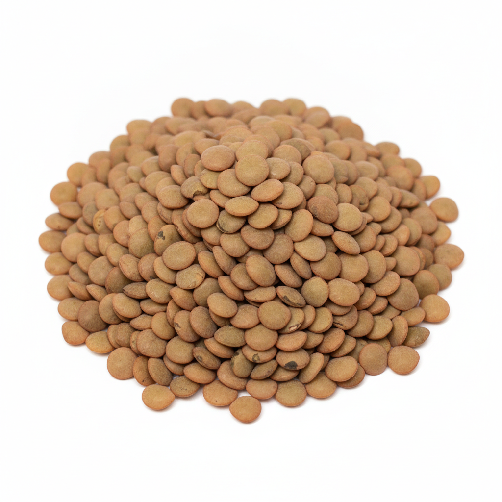 Lentils Brown